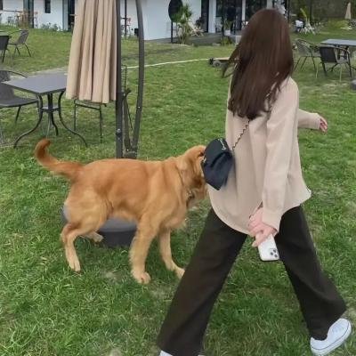 始与终